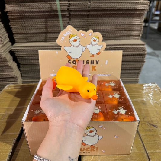 Silly Duck Squishy