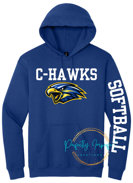 Varsity Hawks Basic Hoodie With Arm Design